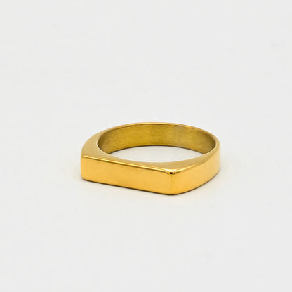 Signet Ring (Gold) - Biraaj