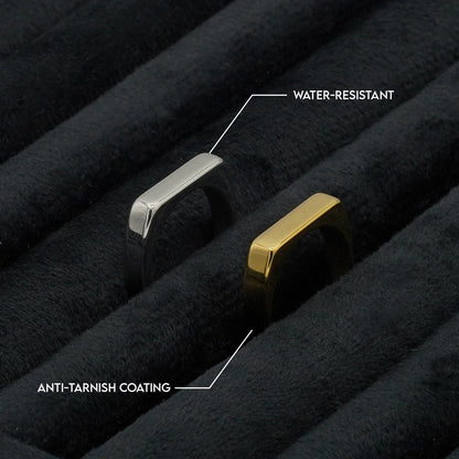 Signet Ring (Silver) - Biraaj