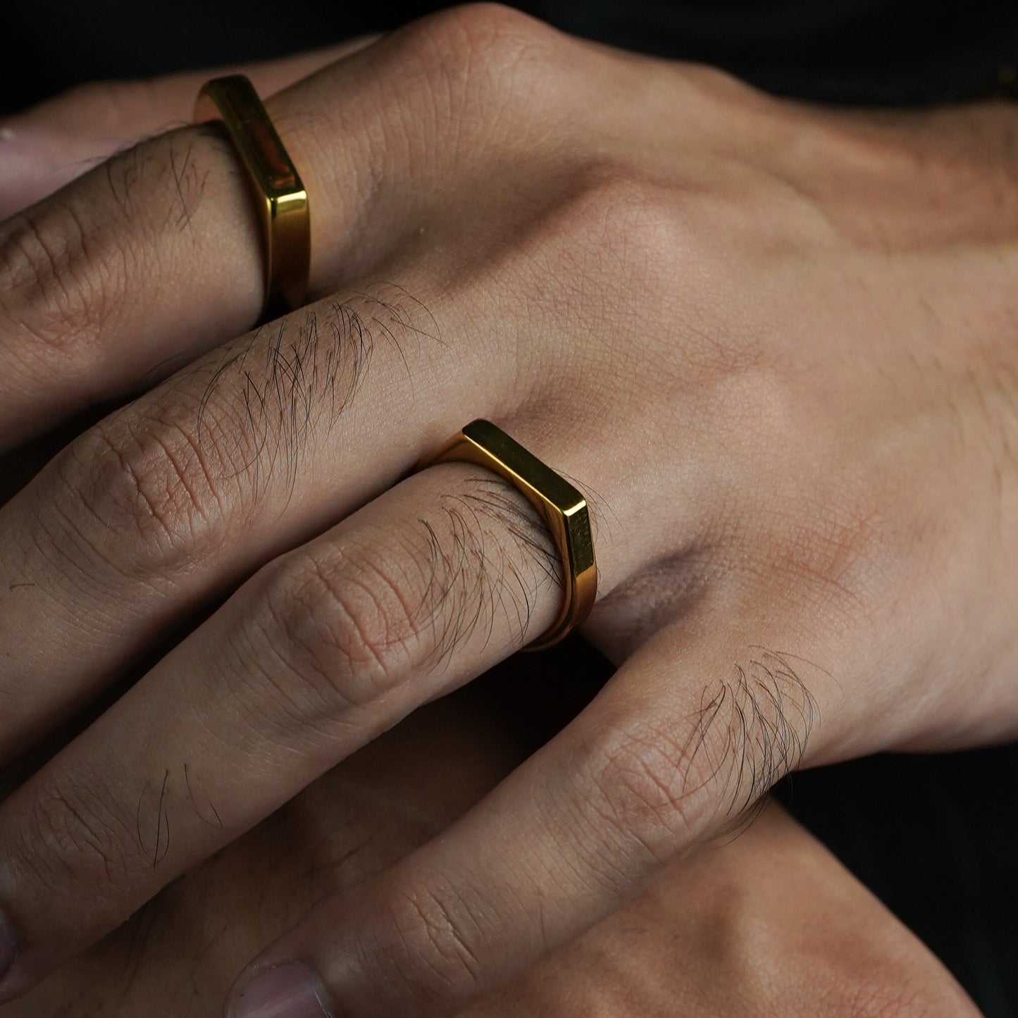 Signet Ring (Gold) - Biraaj